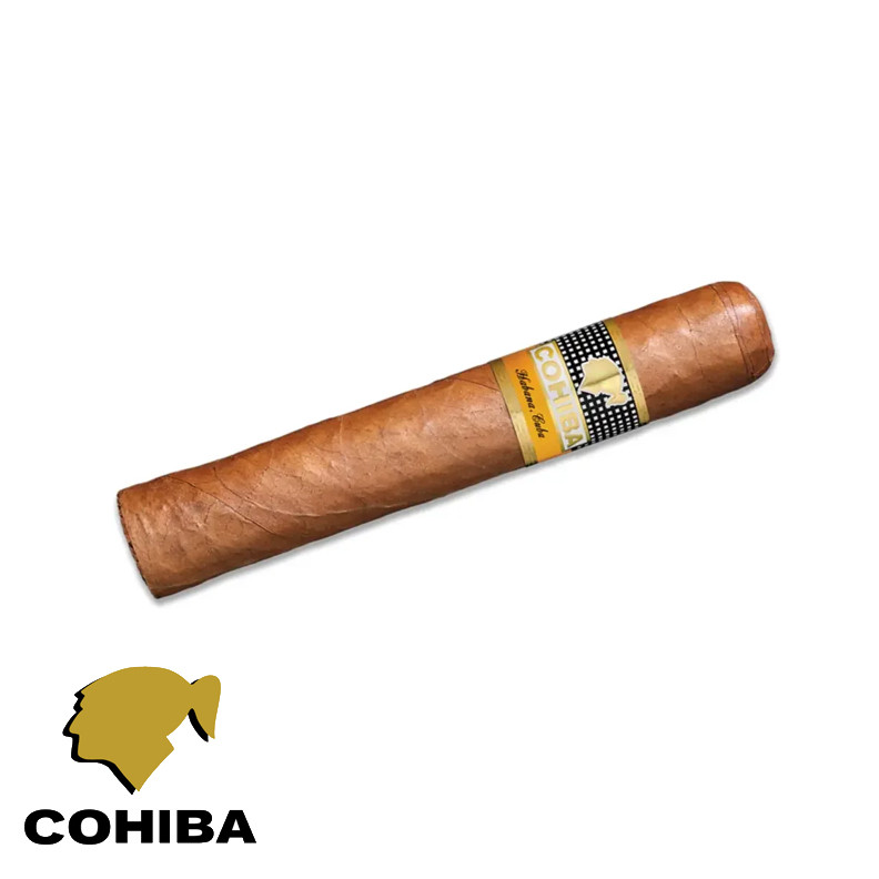 cohiba robustos são roque