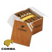 cohiba robustos são roque