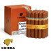 cohiba siglo VI são roque