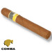 cohiba siglo VI são roque