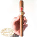Charuto Romeo y Julieta Churchills são roque